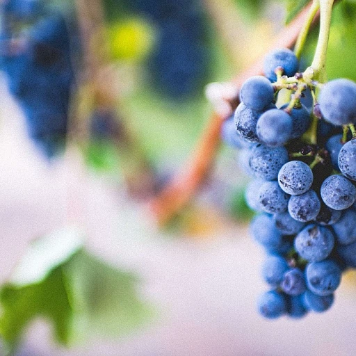 Les mystères des fonds de bouteilles