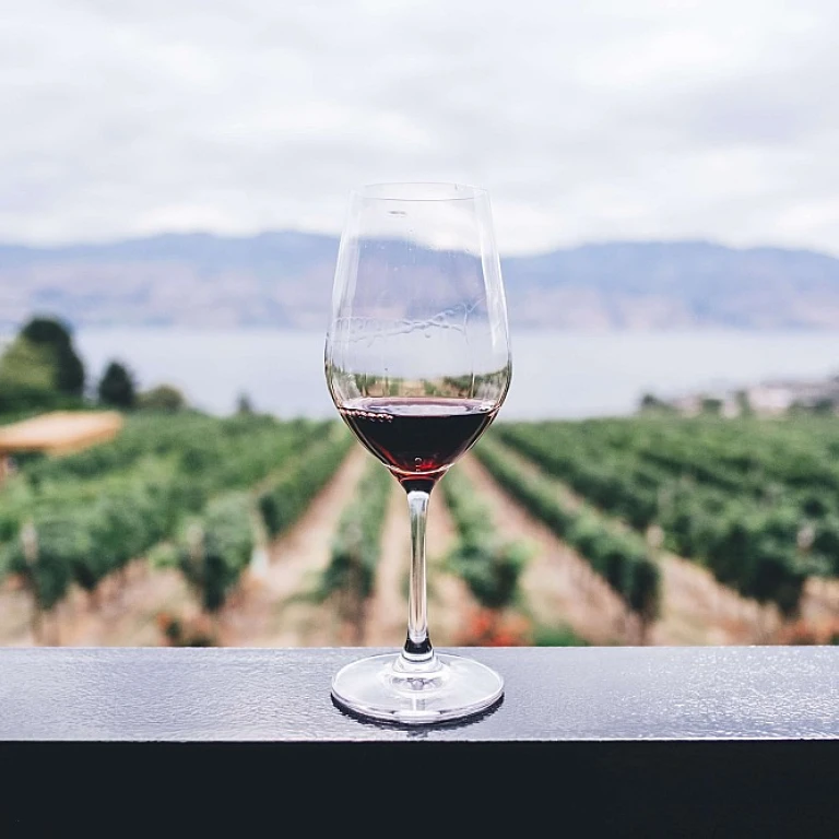 L'art de préserver le vin : les conservateurs à la loupe