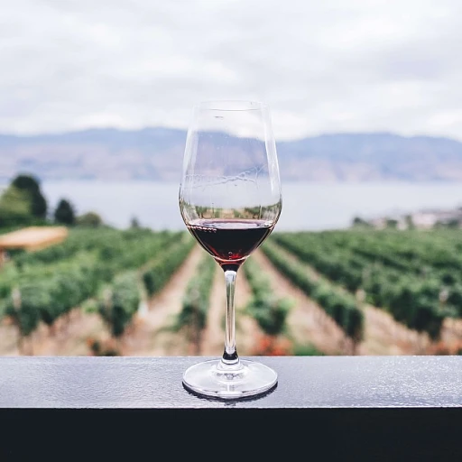 L'art de préserver le vin : les conservateurs à la loupe