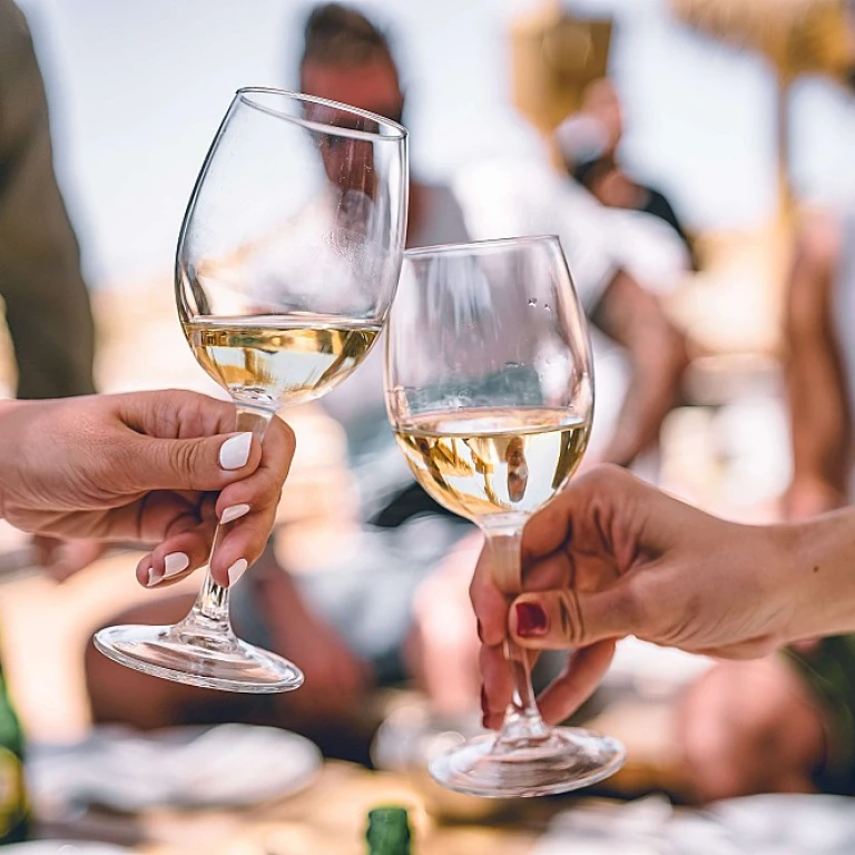 Exploration du domaine Raveneau : Un joyau de Chablis