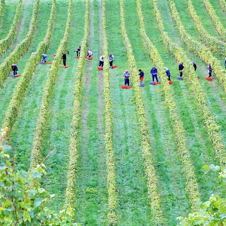 L'art du mariage entre le cognac et la poire