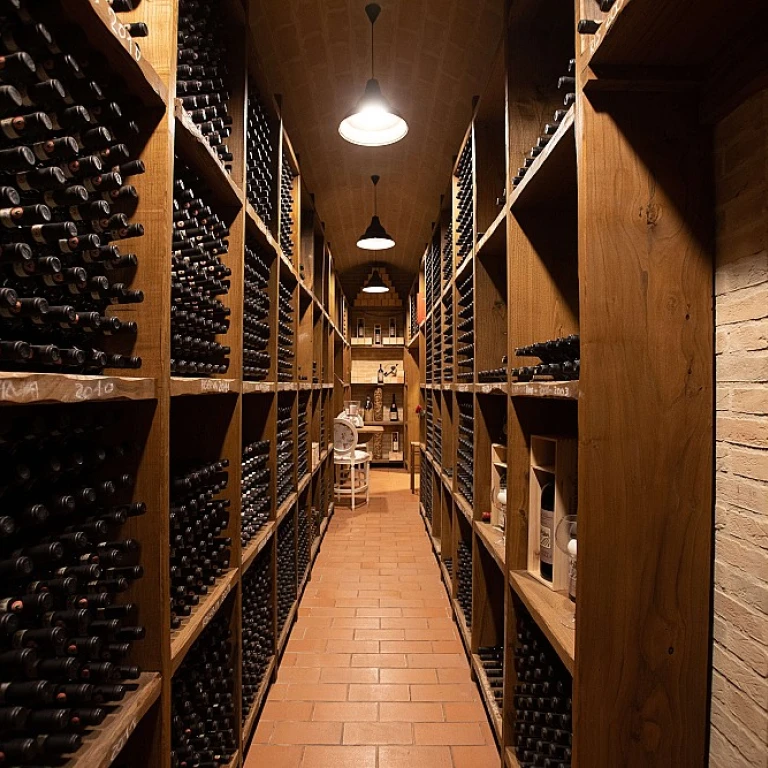 L'élégance du muscat pétillant Casanova