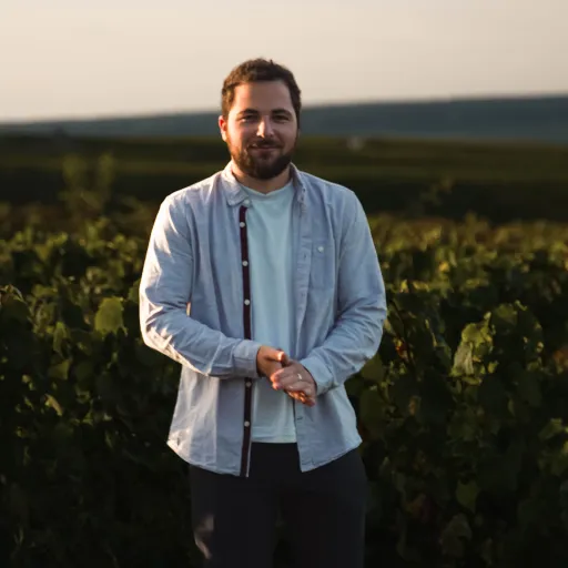 Interview de Nathan M. de Champagne Terroir : Le circuit court du champagne : Un modèle gagnant pour les vignerons