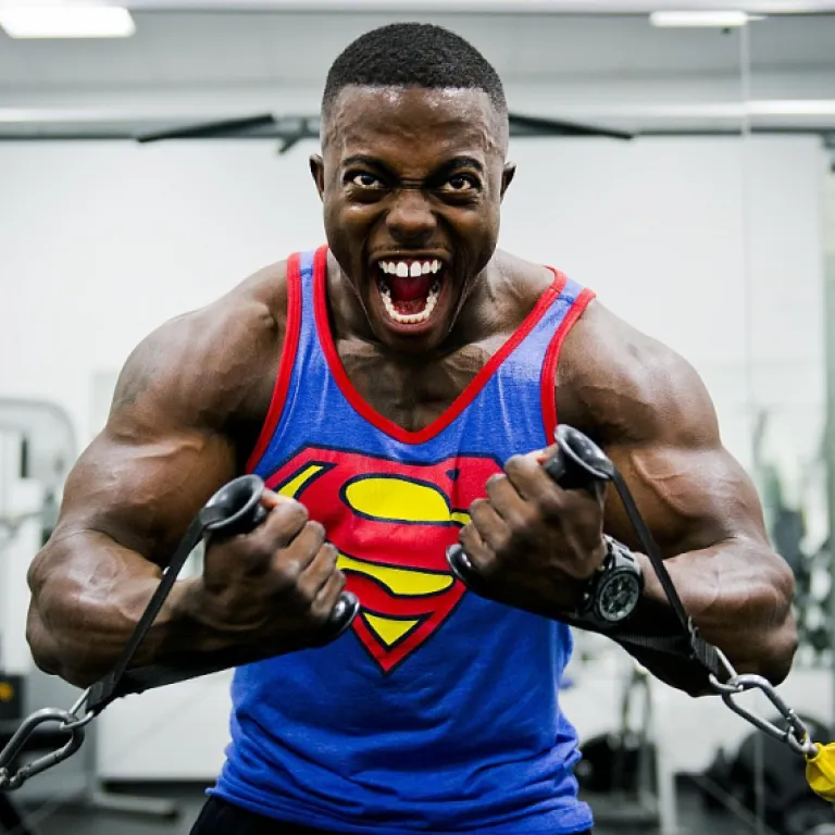 Bière Hellfest : quand la brasserie Mélusine réinvente l’esprit rock du festival