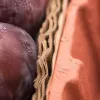 Bilan carbone : pourquoi le packaging pèse plus lourd que votre vignoble et comment agir vraiment