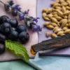 Micro-distilleries françaises : 350 acteurs, le gin et le whisky craft bousculent la distribution