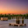 Vin sans alcool 0,0% : ce que le Paquet vin européen change pour la production et la distribution